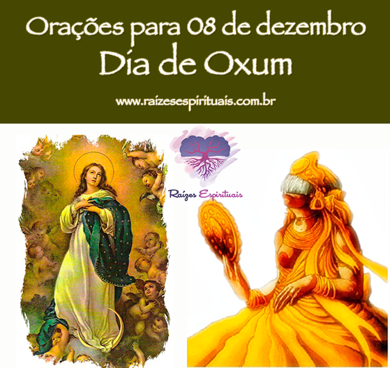 Orações para 08 de dezembro
