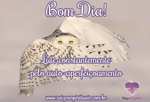 Auto-aperfeicoamento