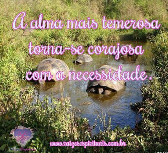 almacorajosa