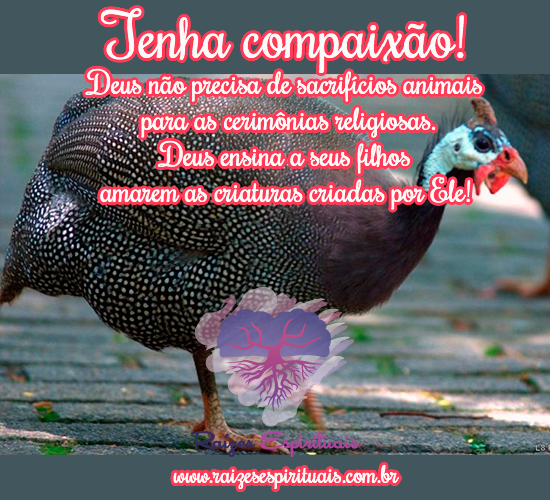 Tenha compaixão