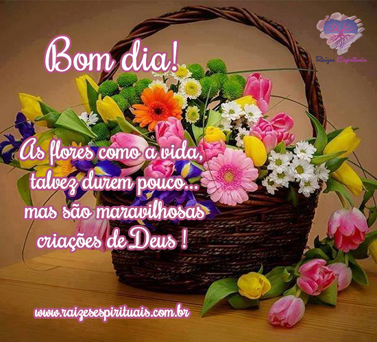 Criações de Deus
