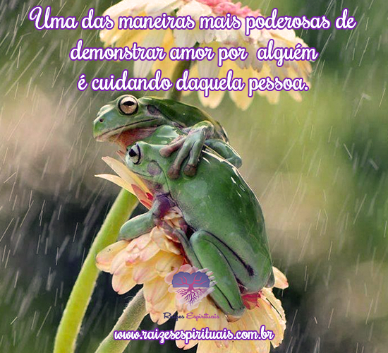 Demonstrar amor