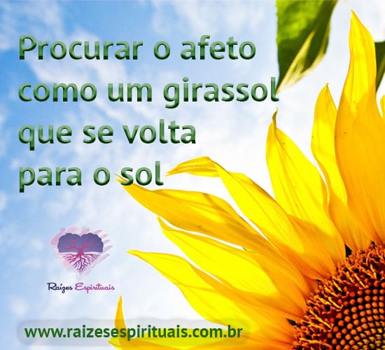 Procurar o afeto