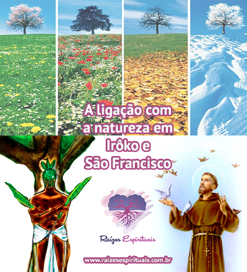 A ligação entre Iroko e São Francisco