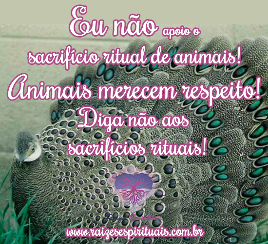 Diga não aos sacrifícios animais