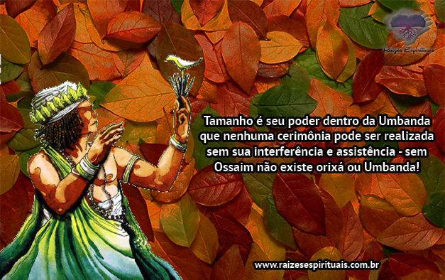 ossaim0510