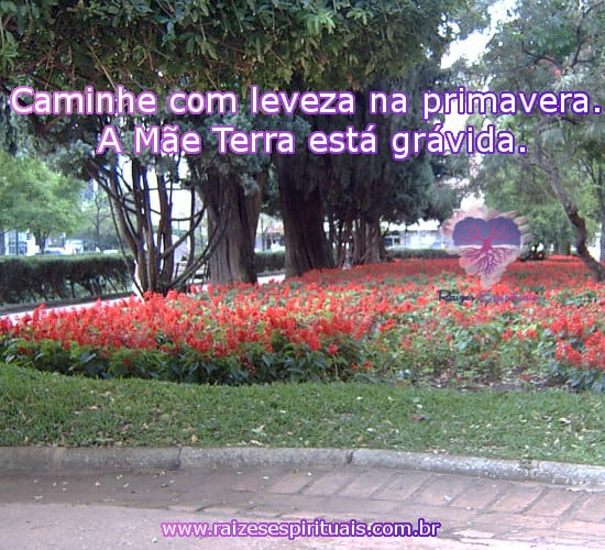 caminhecomleveza