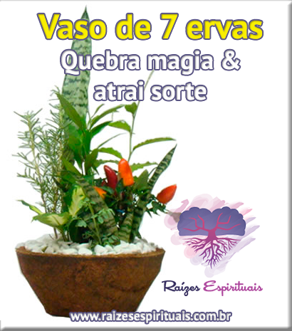 Vaso de 7 ervas