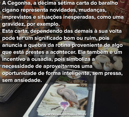 acegonha