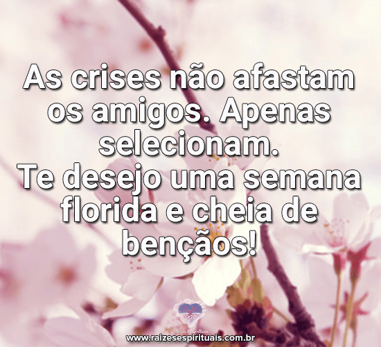 bomdia0911