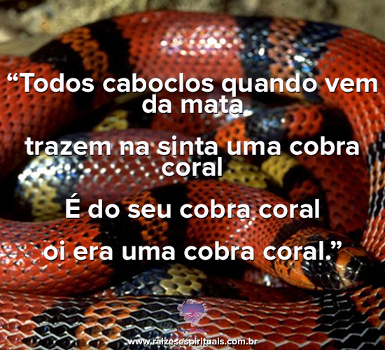 caboclocobracoral