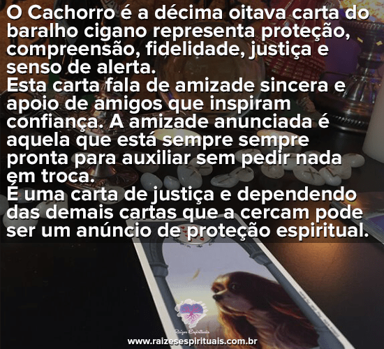 ocachorro