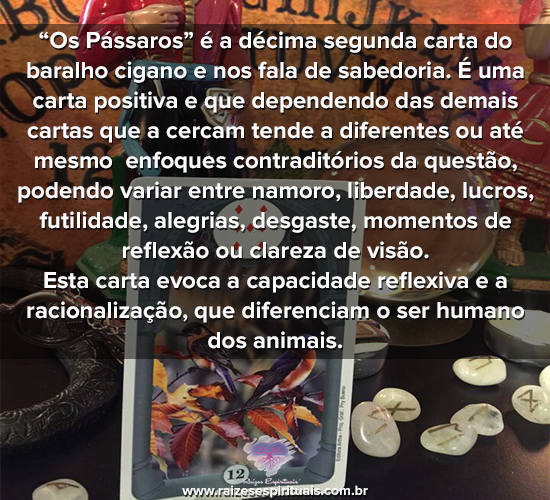 ospassaros