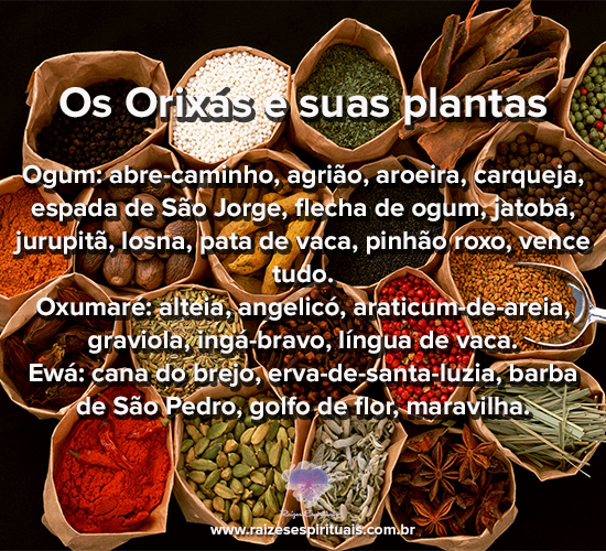 plantasterça