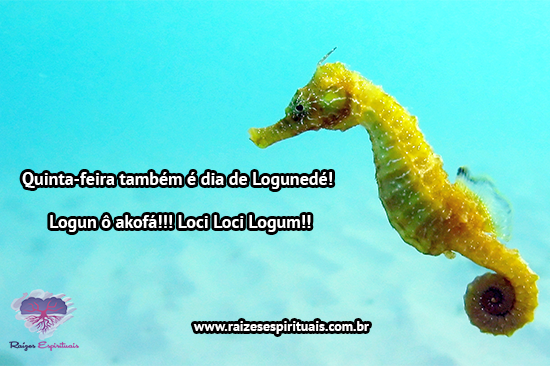 quintafeira logunedé