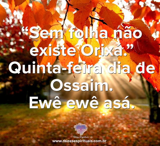 quintaossaim