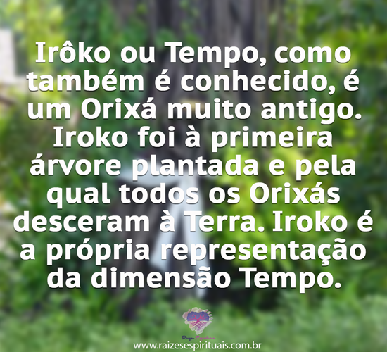 Iroko
