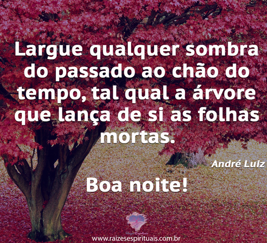boanoite0512