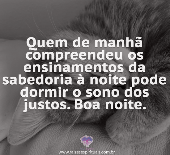 boanoite2511