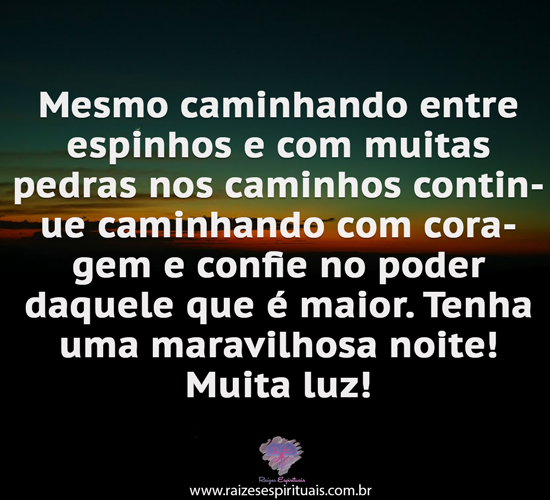 boanoite2611