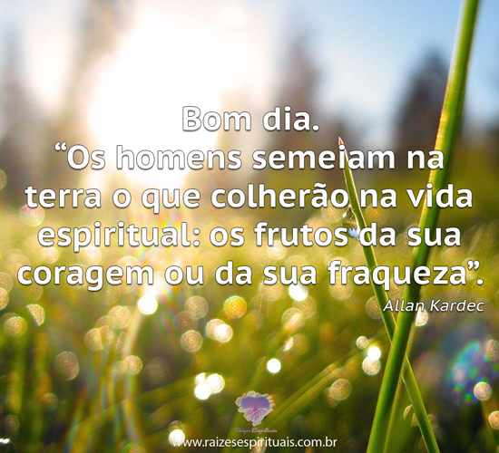 bomdia1511