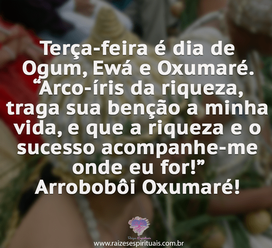 terca24