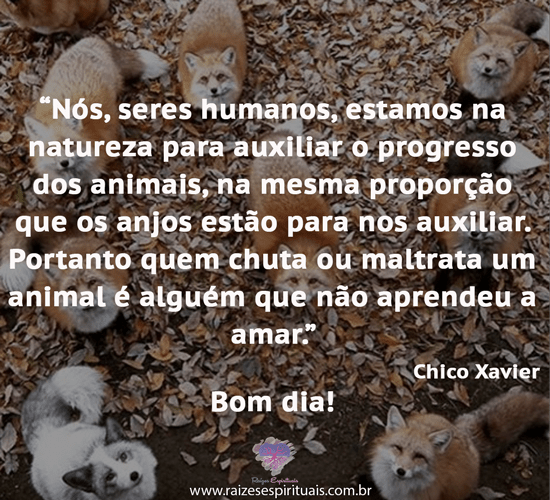 bomdia0901
