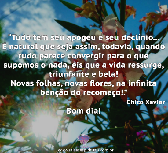 bomdia1201