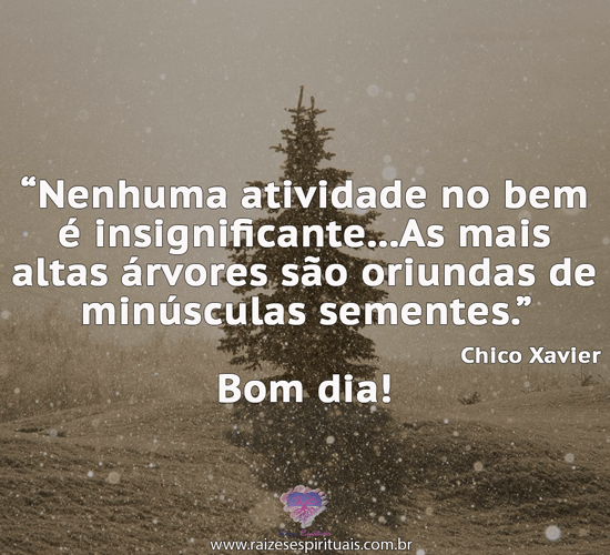 bomdia1601