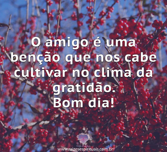 bomdia1612