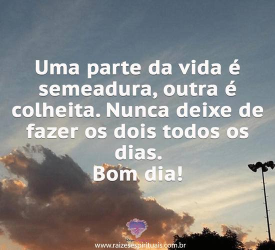 bomdia2612
