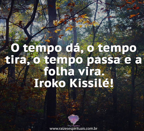 iroko0712