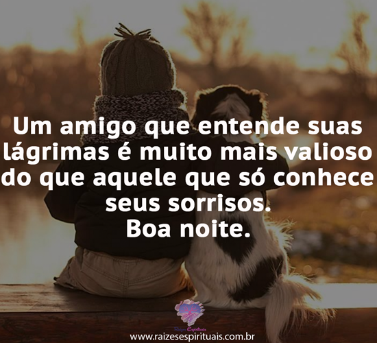 boanoite2501