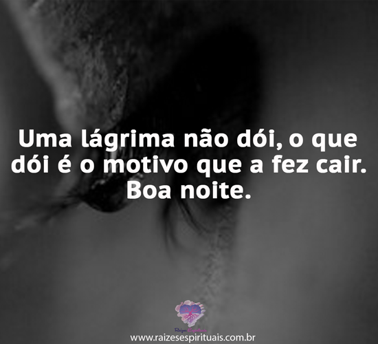 boanoite2601