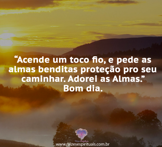bomdia0202