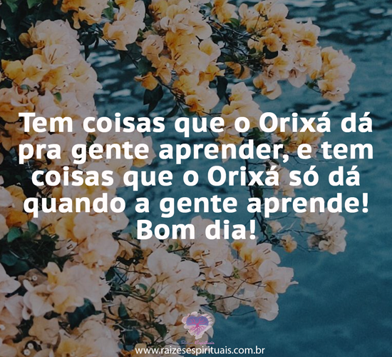 bomdia2801
