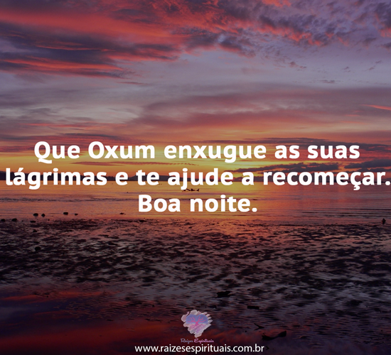 boanoite1203
