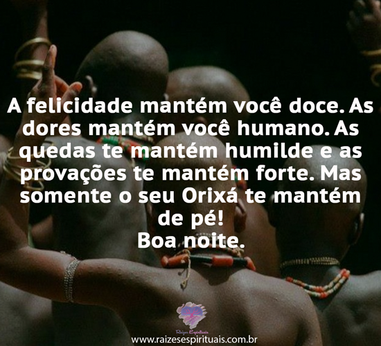 boanoite1602