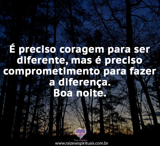 boanoite2402