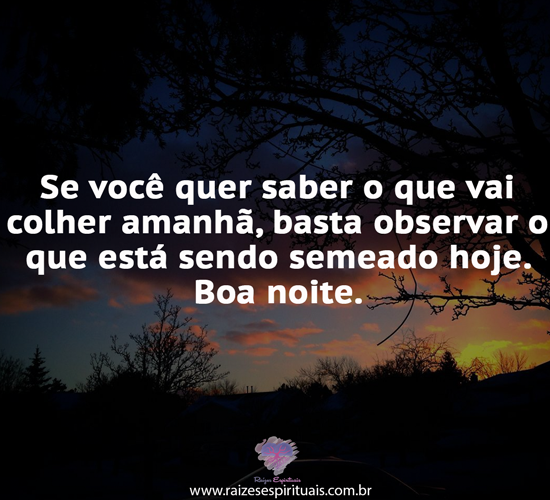 boanoite2802