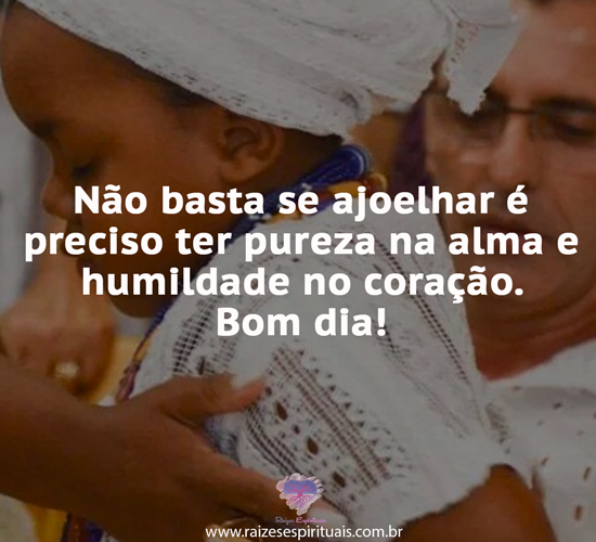 bomdia1802