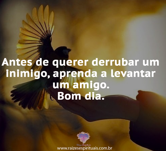 bomdia2602