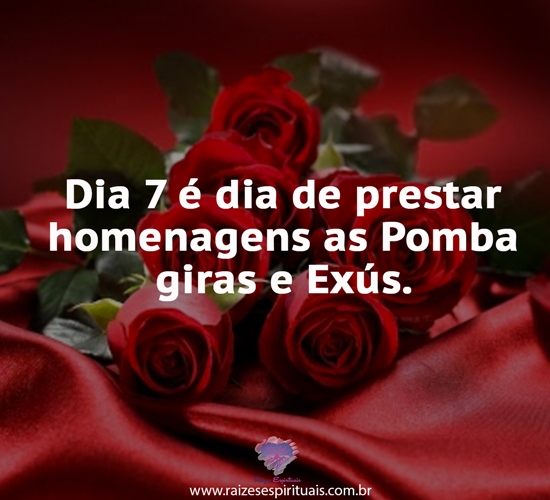 dia7