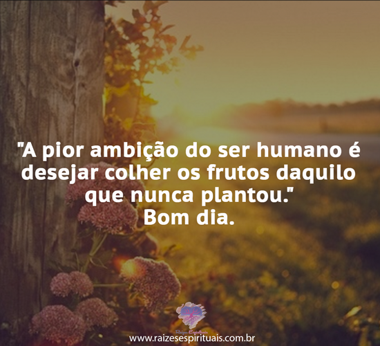 bomdia0304