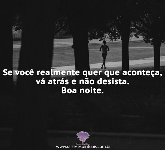 boanoite3004