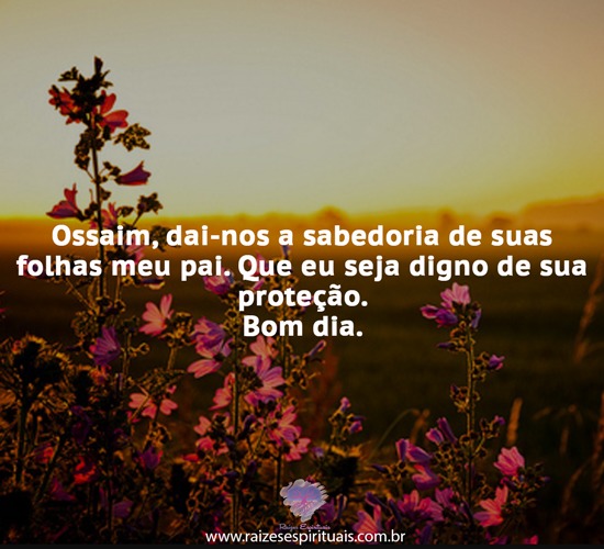 bomdia0505