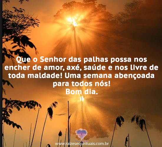 bomdia1605