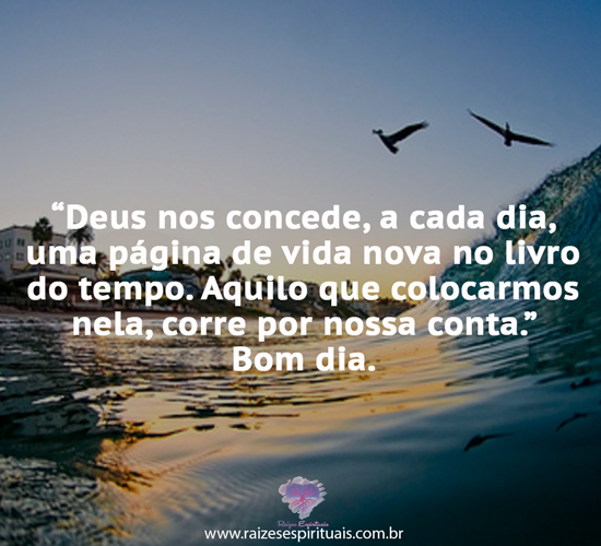 bomdia1804