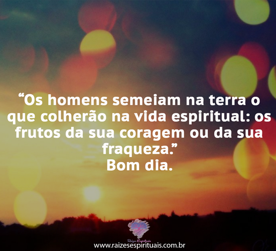 bomdia1904