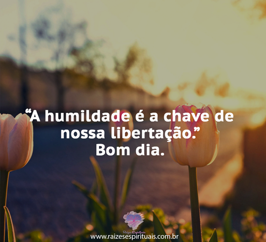 bomdia2004